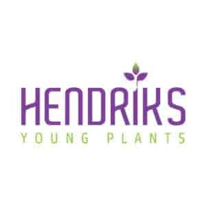 Hendriks-vierkant