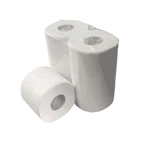 Clean Product toiletpapier 40 rollen cellulose 2 laags